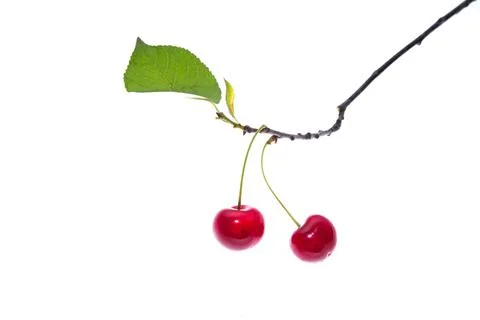 Cherry with leaf isolated on white background. Foto stock