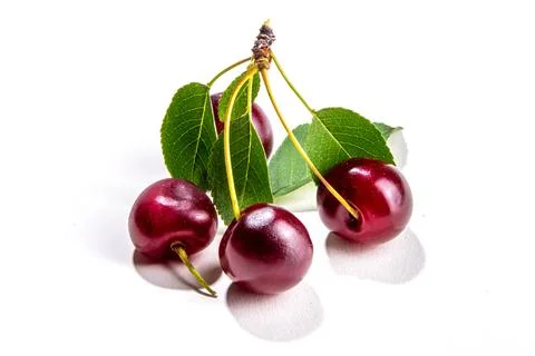Cherry with leaf isolated on white. Stock Photos