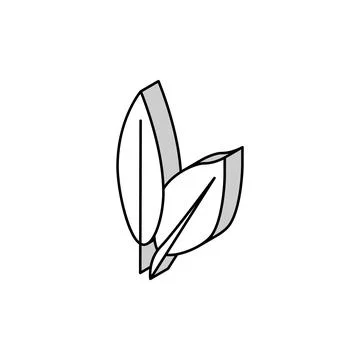 Cherry leaf isometric icon vector illustration Stock Illustration
