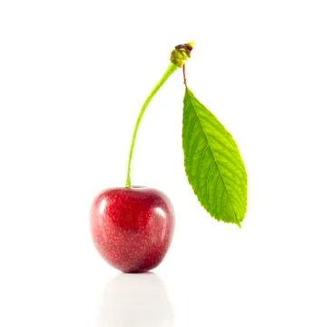 A cherry with a leaf Stock Photos