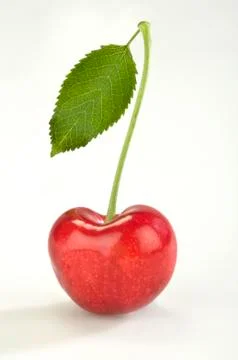 Cherry with leaf Stock Photos