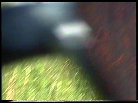 Cherry Leaves Stock Footage 340541461