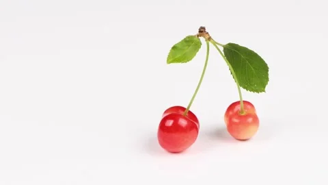 Cherry with leaves isolated on a white background. Side view. Stock Footage 222598985