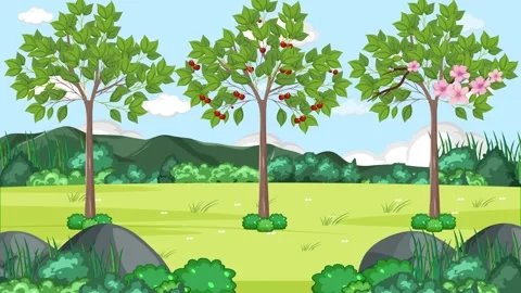 Cherry Life Cycle Animation | Stock Video | Pond5