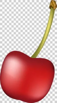 Cherry logo. Cherry berry. Isolated berries transparent, png. fresh cherry .. Stock Illustration