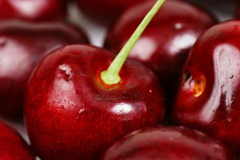 Cherry macro background Stock Photos