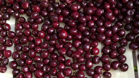 Cherry market Stock Footage 77978673