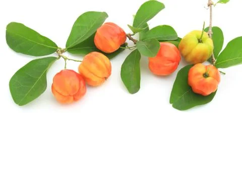 Cherry; object on a white background Foto stock