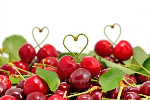 Cherry objects on white background Stock Photos