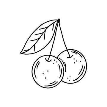Cherry or sweet cherry drawing in doodle style. Cherry outline without color Stock Illustration