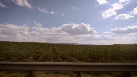 Cherry orchard drive by on a sunny spring Central Washington afternoon 스톡 동영상 89579765