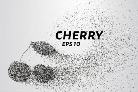 Cherry from the particles. Cherry consists of circles and points. Vector il.. Stock Illustration