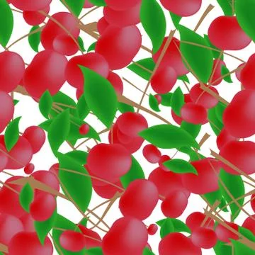 Cherry pattern Stock Illustration