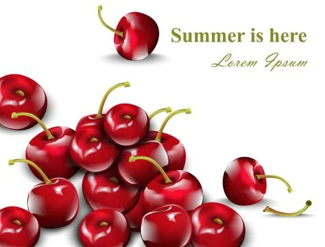 Cherry pattern Vector. Cherry fruits isolated on white backgrounds Stock Illustration