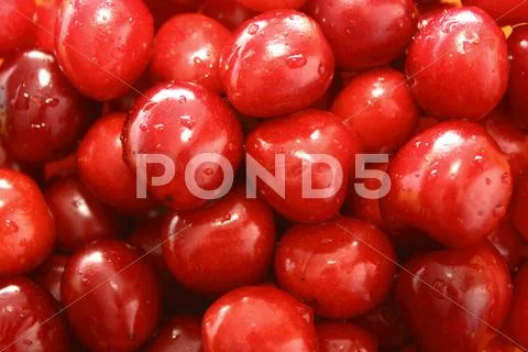 Cherry Stock Photos