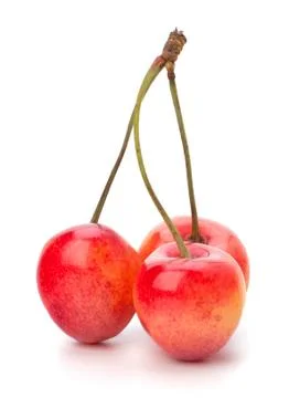 Cherry Stock Photos