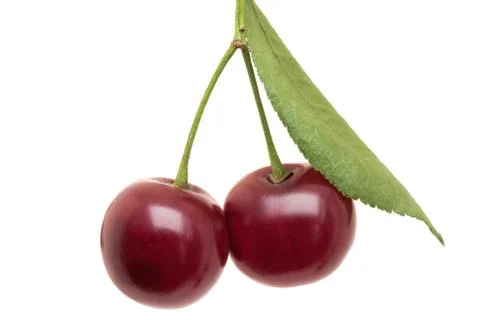Cherry 스톡 사진