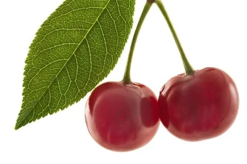 Cherry 스톡 사진