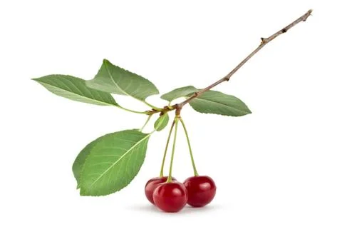Cherry Stock Photos