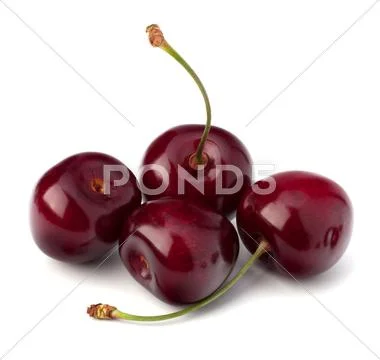 Cherry Stock Photos