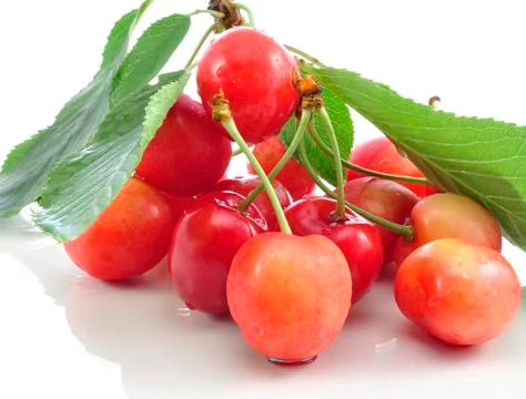 Cherry Stock Photos