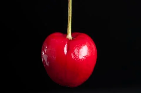 Cherry Stock Photos