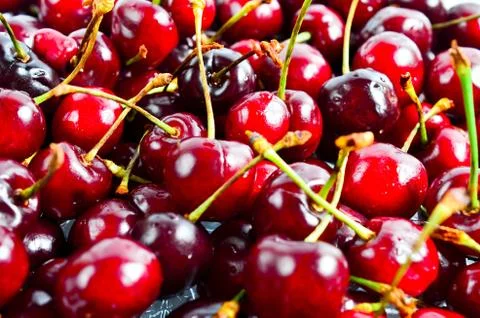 Cherry Stock Photos