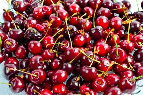 Cherry Stock Photos