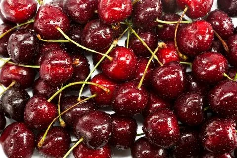 Cherry Stock Photos