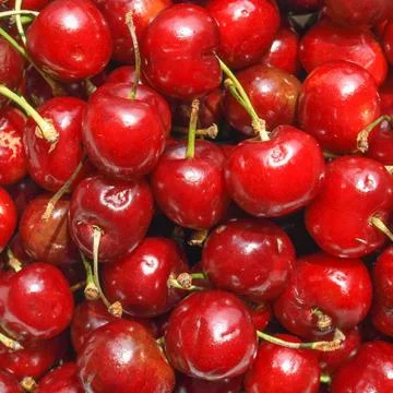 Cherry Stock Photos