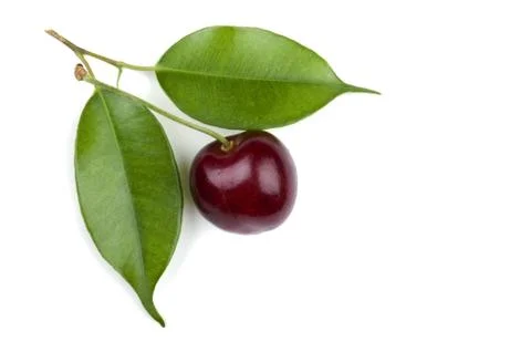 Cherry Stock Photos