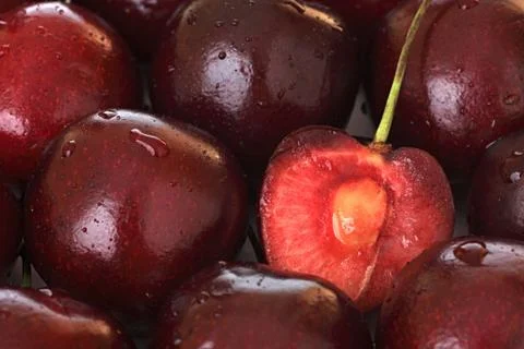 Cherry. 스톡 사진