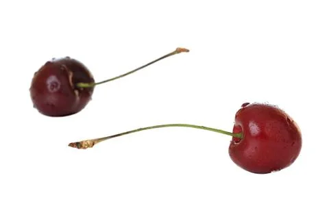Cherry. 스톡 사진