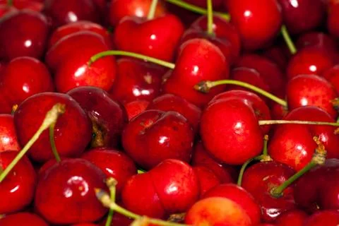 Cherry Stock Photos