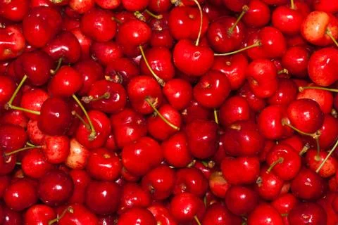 Cherry Stock Photos