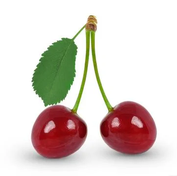 Cherry Stock Photos