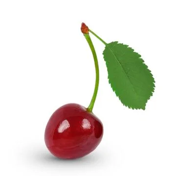 Cherry Stock Photos