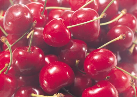 Cherry Stock Photos