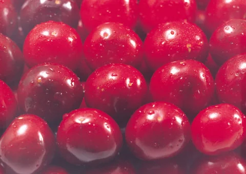 Cherry Stock Photos