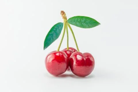 Cherry Stock Photos