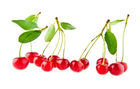 Cherry Stock Photos