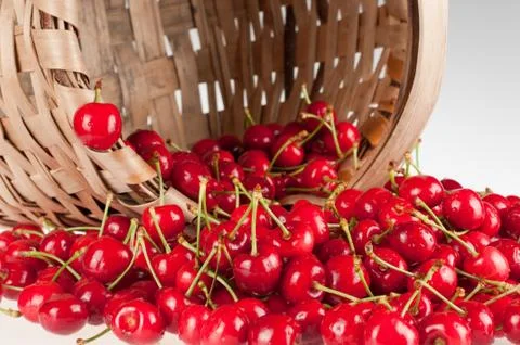 Cherry Stock Photos