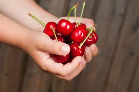 Cherry Stock Photos