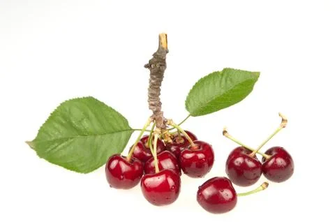 Cherry Stock Photos