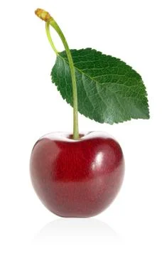 Cherry. Stock Photos