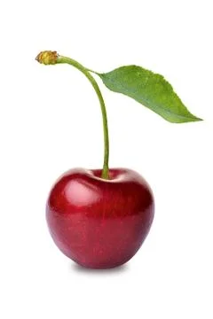Cherry Stock Photos