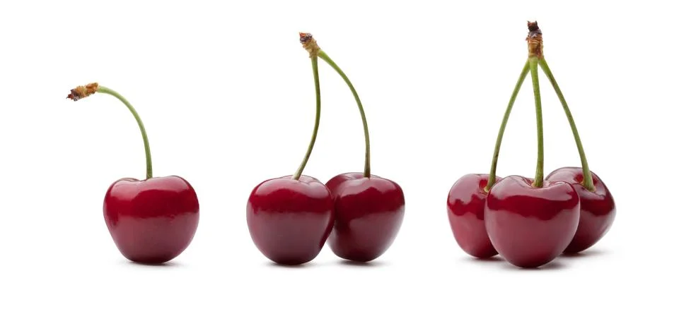 Cherry Stock Photos