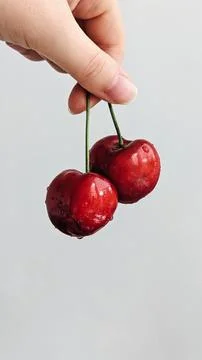 Cherry Stock Photos