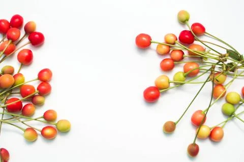 Cherry Stock Photos