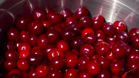Cherry picking. Throwing cherries while picking, bowl full of cherries Vídeo Stock 315846607